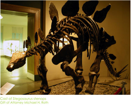 The Everhart Museum of Natural History, Science & Art - Dinosaurs - A Look  Inside